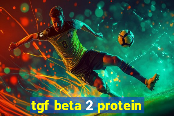 tgf beta 2 protein