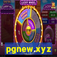 pgnew.xyz