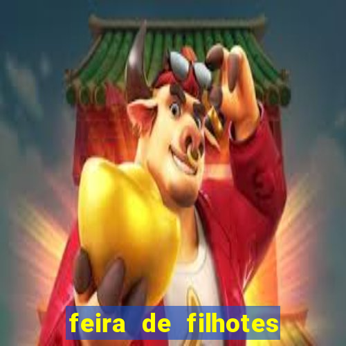 feira de filhotes porto alegre