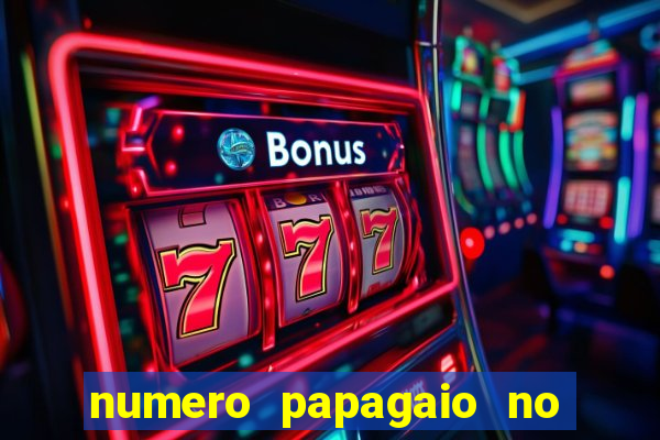 numero papagaio no jogo do bicho