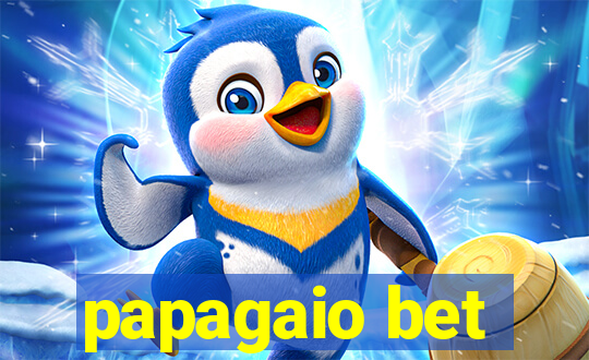 papagaio bet