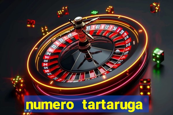 numero tartaruga jogo do bicho