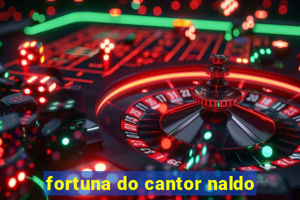 fortuna do cantor naldo