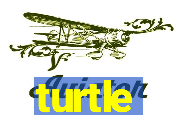 turtle-ty.com