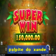 palpite do xande para hoje