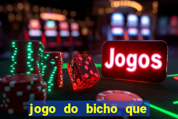 jogo do bicho que paga no pix